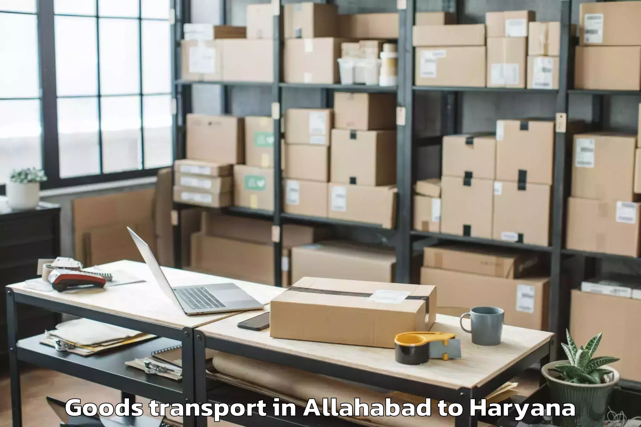 Affordable Allahabad to Narnaul Goods Transport